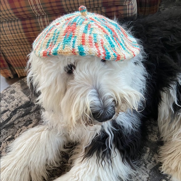 Get to Know Me! Ask Me Questions! - Picture 5 of 5